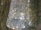 image of grave number 800812